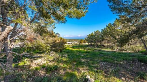 Sol de Mallorca Land
Sol de Mallorca Land